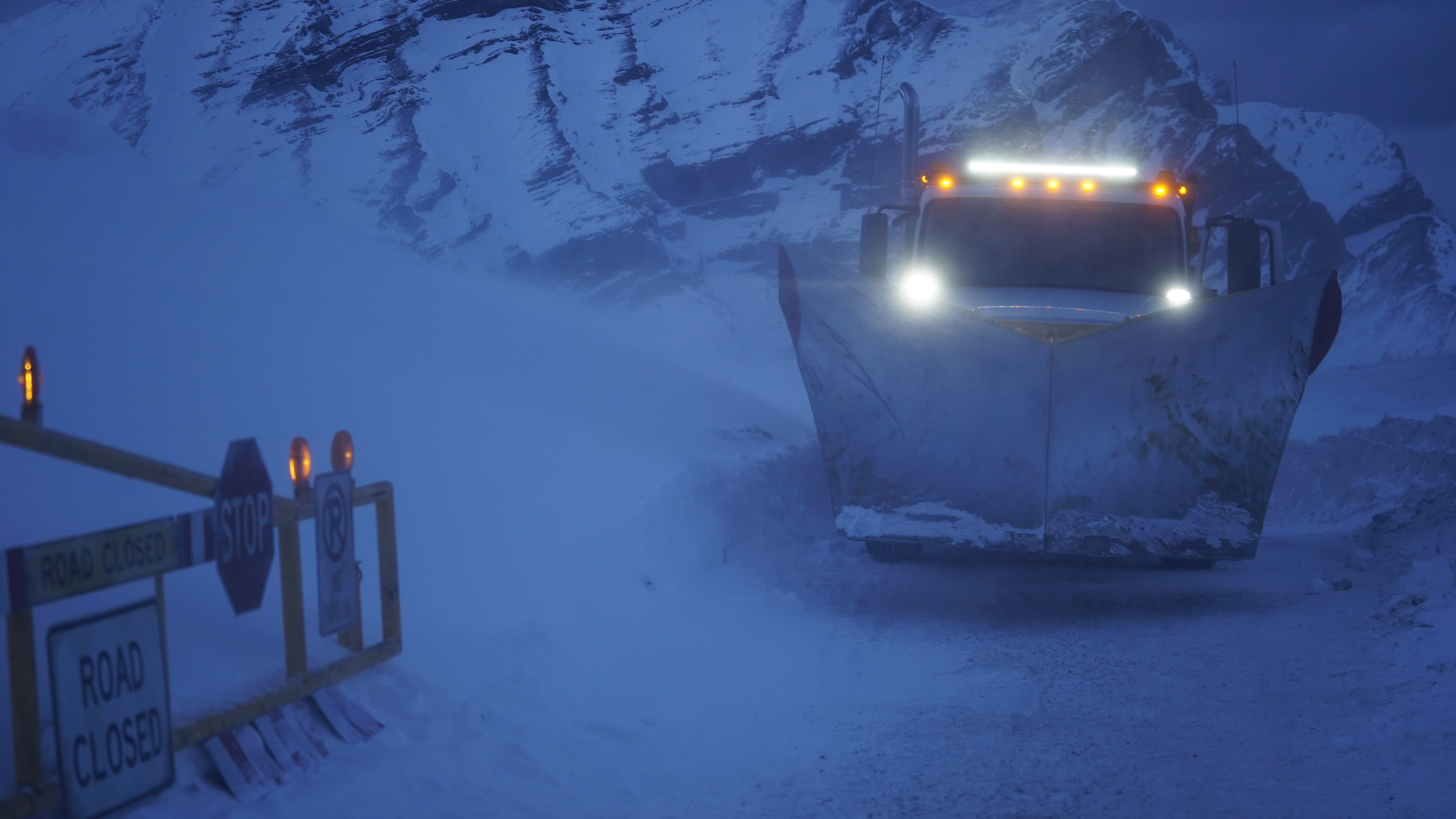 Cold Pursuit