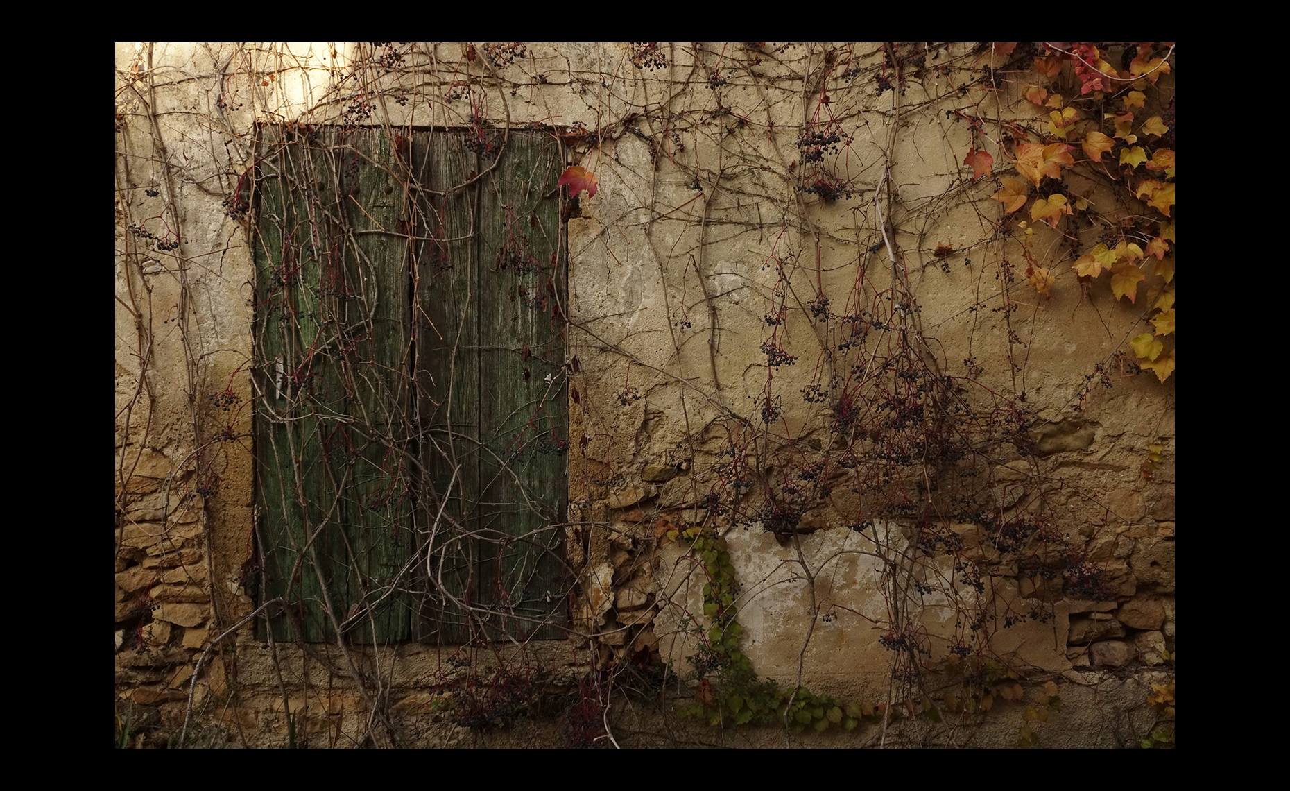 Languedoc