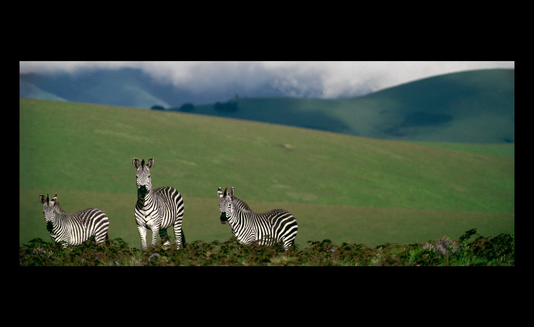 Malawi